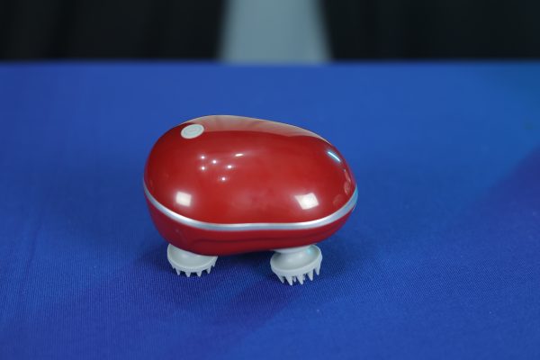 Smart Scalp Massager